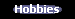 Infos zu unseren Hobbies
